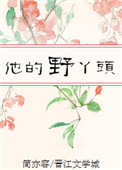《他的野丫头》封面