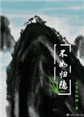 《不如归隐》封面