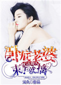 《枕边敌人：卧底老婆束手就擒》封面