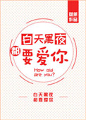 《白天黑夜都要爱你》封面