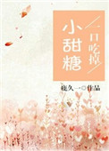 《一口吃掉小甜糖》封面