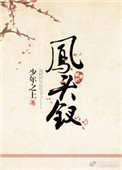 《凤头钗》封面