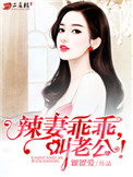 《辣妻乖乖，叫老公！》封面