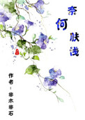 《奈何肤浅》封面