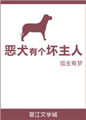 《恶犬有个坏主人》封面
