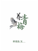 《养青梅》封面