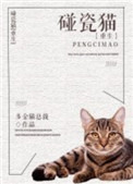 《巨胃猫总在碰瓷[重生]》封面