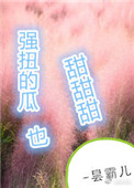 《强扭的瓜超甜甜甜》封面