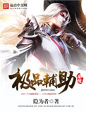 《极品辅助系统》封面