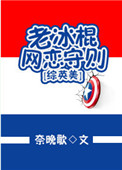 《[综英美]老冰棍网恋守则》封面