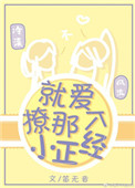 《就爱撩那个小正经》封面