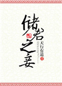 《储君之妾》封面