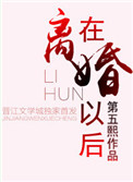 《在离婚以后》封面