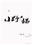 《小野猫》封面