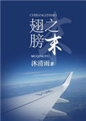 《翅膀之末》封面