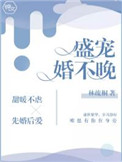 《盛宠婚不晚》封面