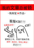《我的文章总被锁》封面