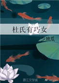 《杜氏有巧女》封面
