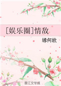 《[娱乐圈]情敌》封面