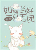 《如何当好一只毛团》封面