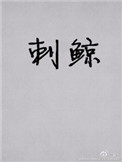 《刺鲸》封面