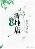 《泰山香烛店》封面