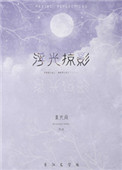 《浮光掠影》封面
