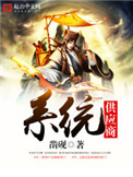 《系统供应商》封面