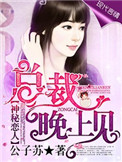 《神秘恋人：总裁晚上见》封面