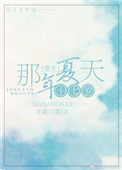《重生十七岁那年夏天》封面