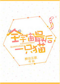 《全宇宙最后一只猫》封面