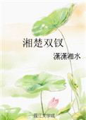 《湘楚双钗》封面