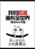 《我的后宫遍布全世界》封面