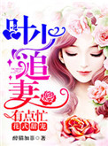 《花式甜宠：叶少追妻有点忙》封面