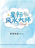 《星际风水大师》封面