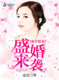 《雍少撩妻盛婚来袭》封面