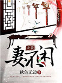 《夫贵妻不闲》封面