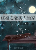 《红楼之老实人当家》封面