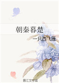 《朝秦暮楚》封面