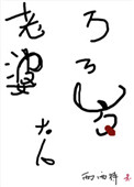《老婆大人万万岁》封面