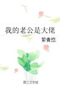 《我的老公是大佬》封面