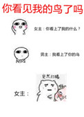 《你看见我的鸟了吗》封面