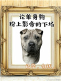 《影帝酷爱撒糖！》封面