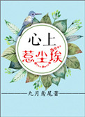 《心上惹尘埃》封面