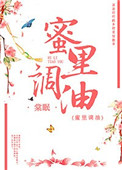 《蜜里调油/妾侍手册》封面