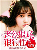 《第一婚宠：老公狠坏狠狼性》封面