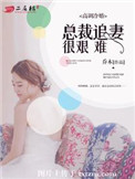 《高调冷婚，总裁追妻很艰难》封面