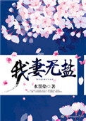 《我妻无盐》封面