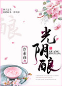 《光阴酿》封面