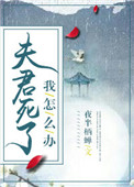 《夫君死了我怎么办》封面